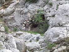 FOTO: Francisco Mart&iacute;nez Sevilla